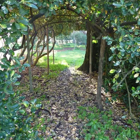 Gasthof La Maison Du Mole