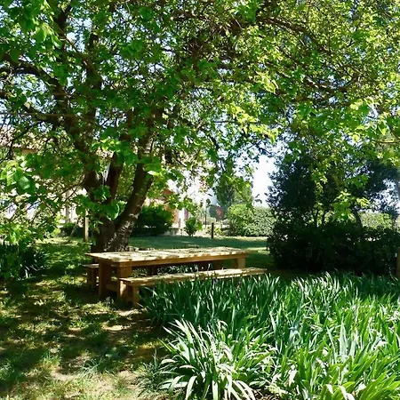 La Maison Du Mole Aigues-Mortes