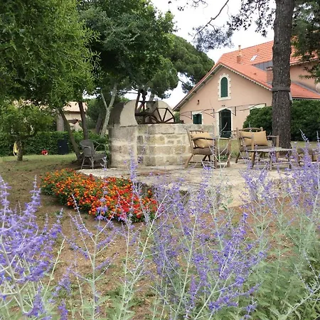 La Maison Du Mole Guest house 2*